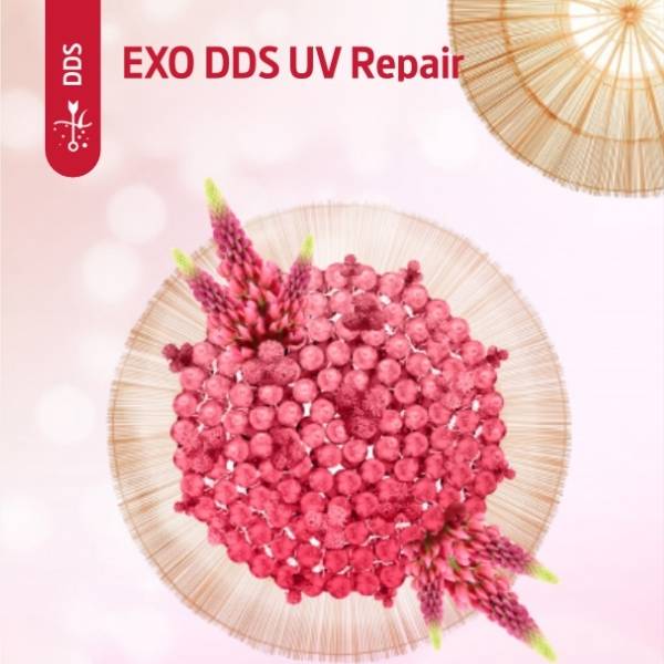 EXO DDS UV Repair